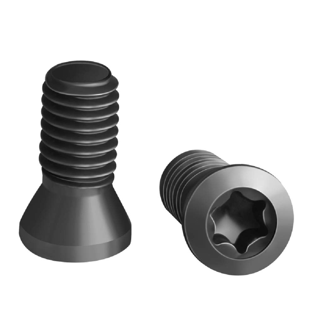 Torx Screws